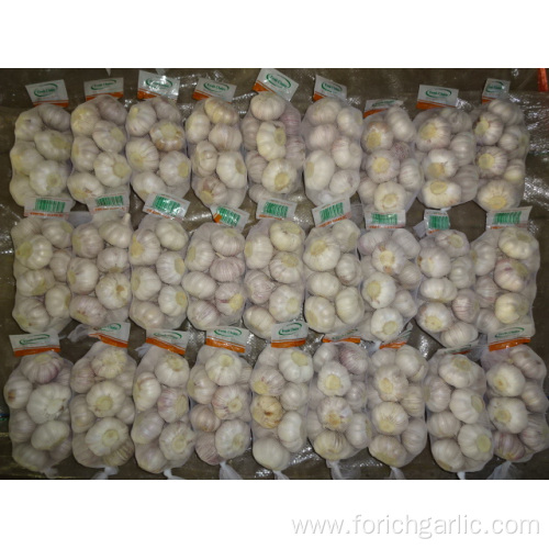 Good Quality Normal White Garlic From Jinxiang